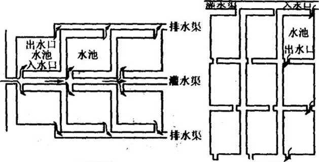 水蛭养殖池建设