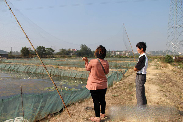 水蛭养殖基地现场图