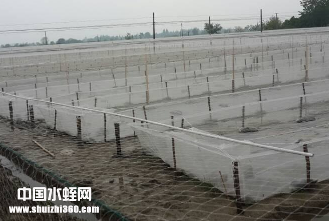QQ截图20180103112054