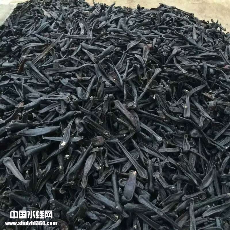 吊杆2